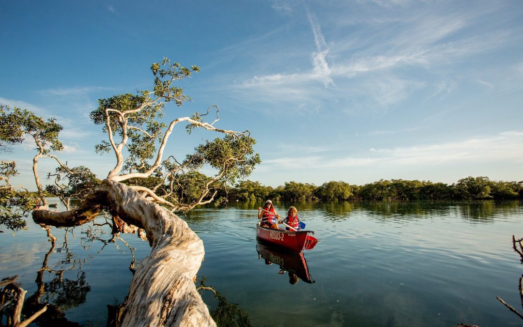 Ingenia Holidays South West Rocks grabs gold at Australian Tourism Awards