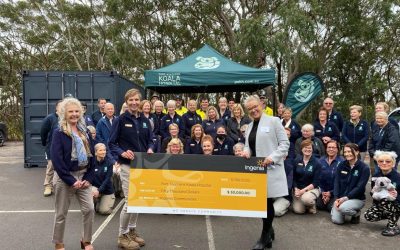 Port Stephens koala conservation backed through dedicated partnership